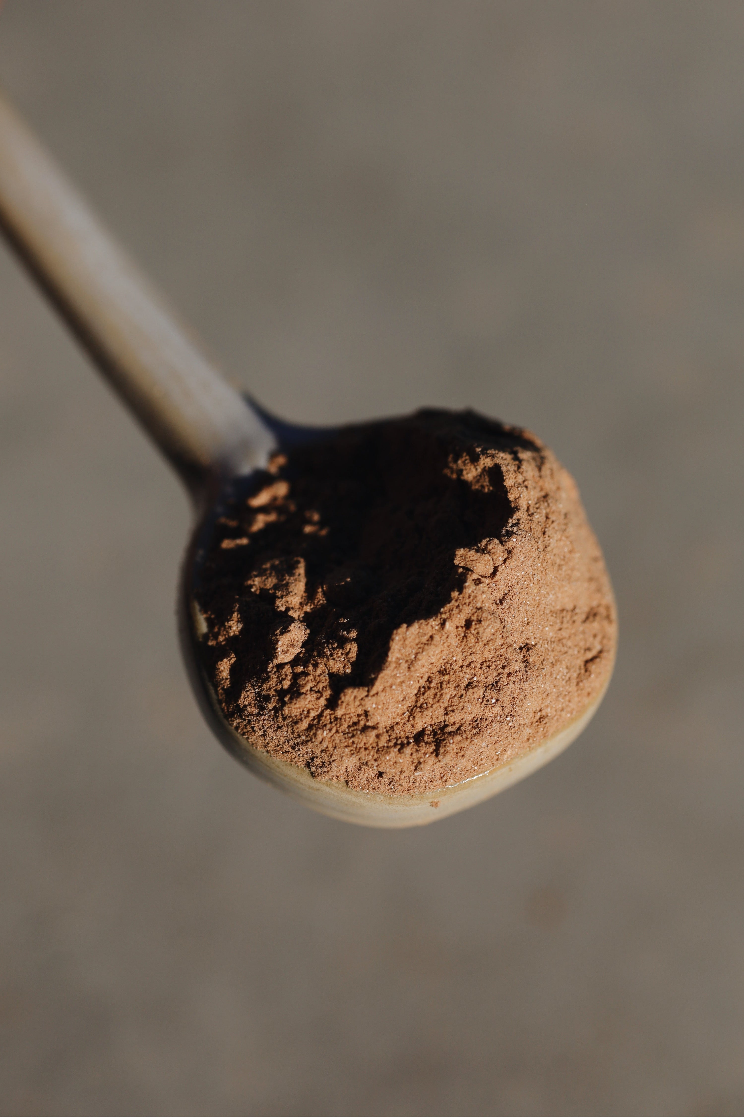 Can Adaptogen Mushrooms Rewire your Brain?