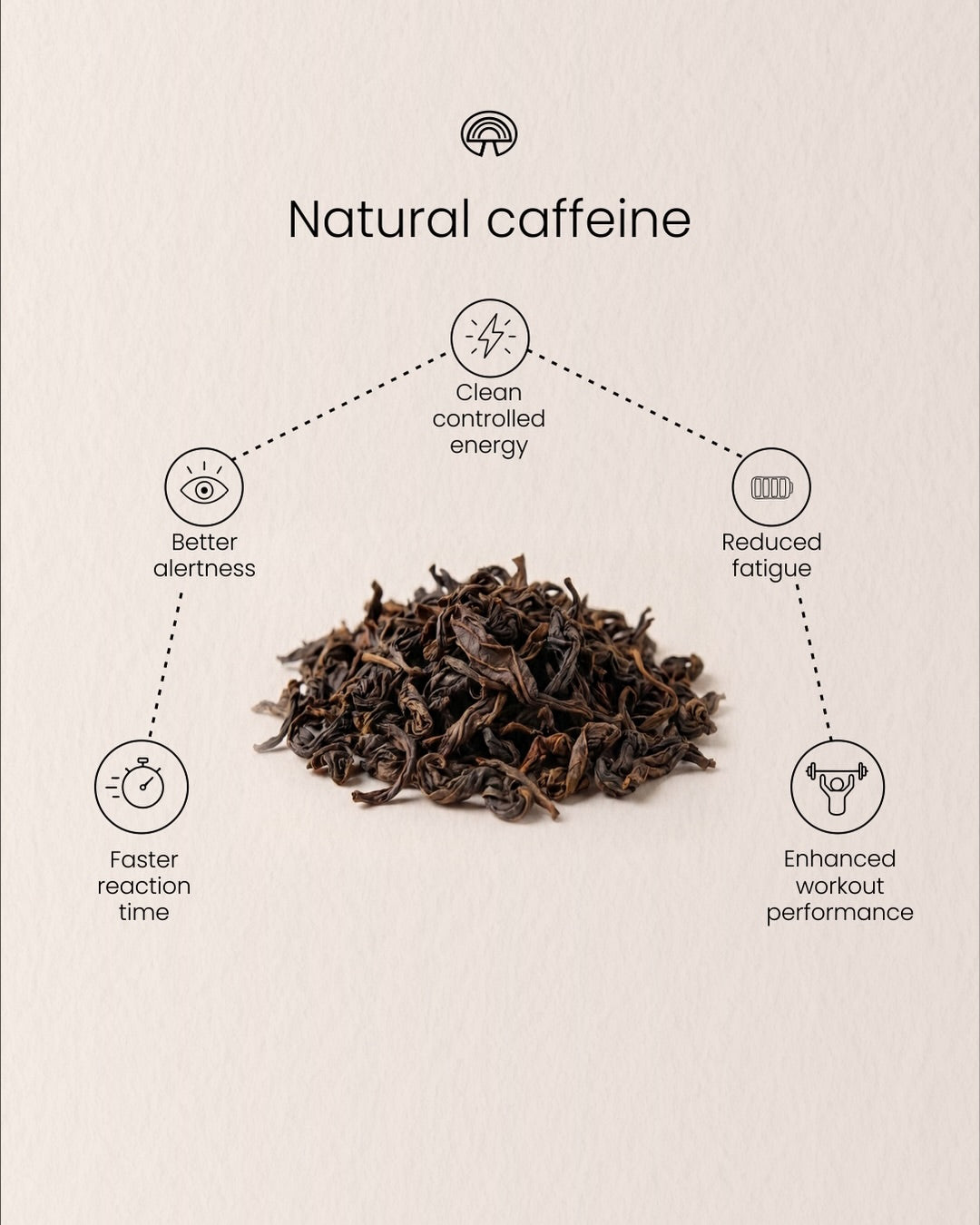 mushroom coffee, best mushroom coffee, mushroom coffee benefits, mushroom coffee for focus, mushroom coffee for energy, lion’s mane coffee, adaptogenic coffee, functional coffee, healthy coffee alternative, coffee alternative, coffee without jitters, coffee without crash, clean energy, clean energy coffee, nootropic coffee, focus coffee, productivity coffee, brain boosting coffee, mushroom coffee for productivity, mushroom coffee for brain fog, mushroom coffee for athletes, mushroom coffee for entrepreneurs
